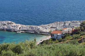 Apartments and rooms by the sea Cove Zarace - Dubovica, Hvar - 8781